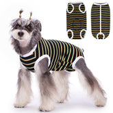 Coppthinktu Recovery Suit para perra hembra en paseo diario, comodidad y cobertura.