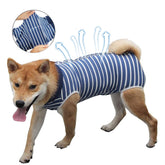 Coppthinktu traje de recuperación para perros con botones: fácil de colocar y quitar.