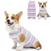 Coppthinktu traje de recuperación para perro con botones para poner y quitar fácilmente