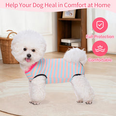 Coppthinktu traje de recuperación para perros, protege abdomen y evita lamido.