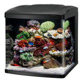 BioCube de Coralife con luz LED, iluminación para corales sanos y plantas vivas.