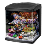 Coralife BioCube con tapa moderna para acuario limpio y estético.