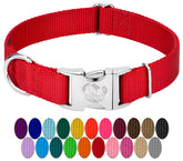 Collar Country Brook Petz nylon ajustable 3/4 pulg, ideal para paseos diarios