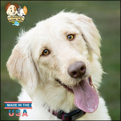 Collar Country Brook Design Petz con ajuste 13-16 pulgadas para un ajuste seguro.