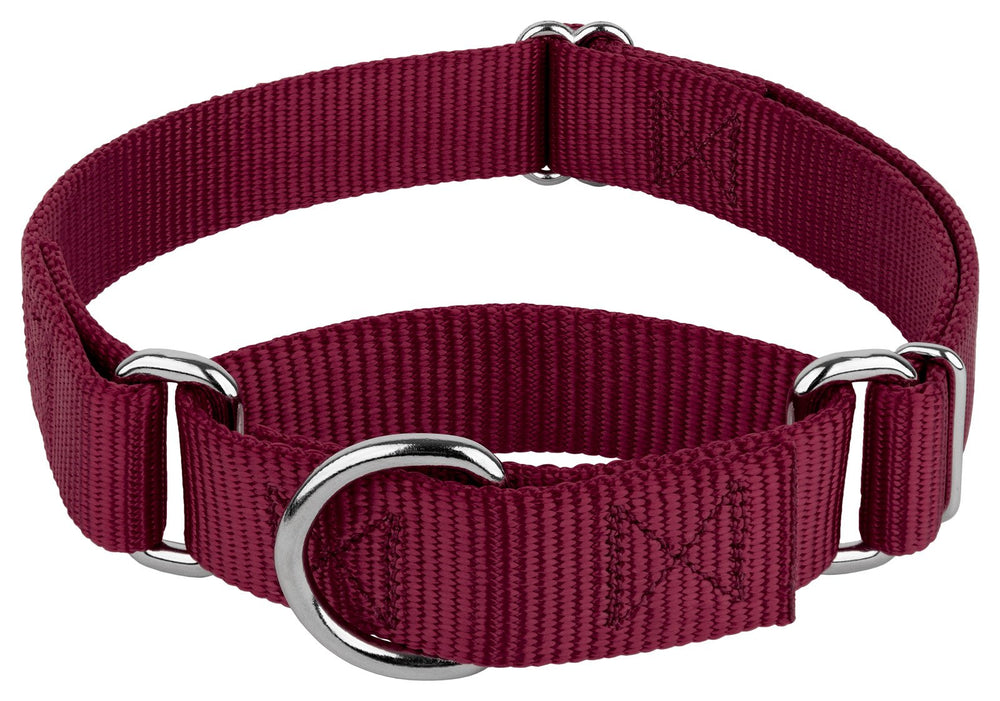 Country Brook Petz collar martingale sin hebilla, ideal para paseos seguros y cómodos.