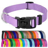 Collar Country Brook Petz lavanda 3/4 pulgada, cómodo para paseos diarios