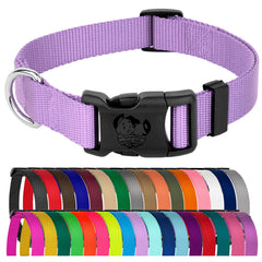 Collar Country Brook Petz lavanda 3/4 pulgada, cómodo para paseos diarios