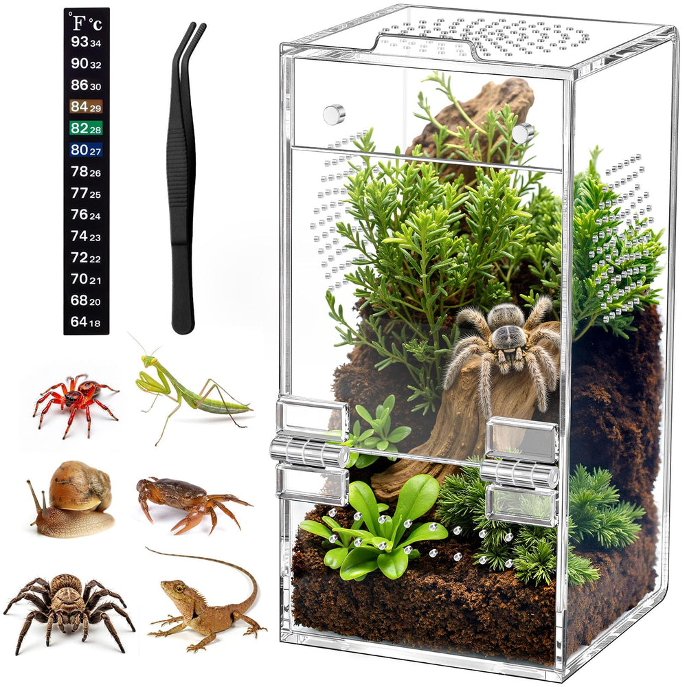 CourtyardAid jaula araña acrílico con visión 360 grados para observar saltos.