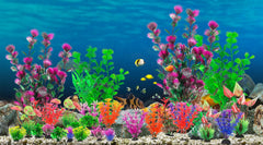 CousDUoBe planta de acuario, variedad de alturas para composiciones dinámicas sin manipular el agua.