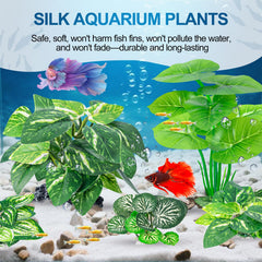 CousDUoBe plantas pequeñas para acuario compacto y fácil de organizar.
