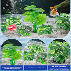CousDUoBe hojas pequeñas para rincones del acuario urbano.