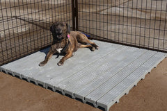 Panel elevado de Cove Products para perros, mantiene seco y cómodo.