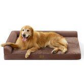 COZY KISS cama ortopédica para perro grande ofrece soporte articular para mascotas XXL.