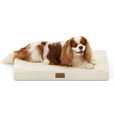 COZY KISS cama para perro pequeño rectangular, ideal para jaula y descanso cómodo.