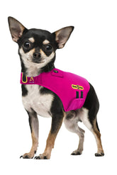 CozyVest chaleco calmante para perros con música y lavanda para tranquilidad.