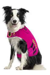 CozyVest Chaleco para perro con música relajante para ansiedad.