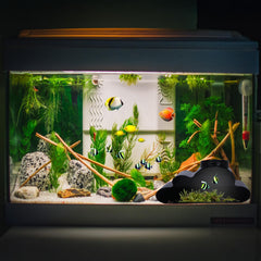 CPLIKE Cueva Reptil humedad estable para muda y confort