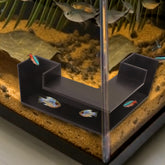 CPLIKE túnel subterráneo para acuario, refugio para peces y camarones, facilita nado suave.