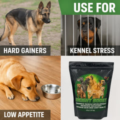 CPN Weight Boost: grasas saludables para perros, fuente de energía concentrada.