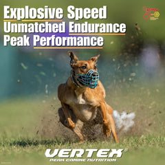 CPN Vertex: proteína de huevo predigerida para soporte muscular