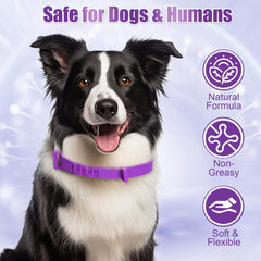 Collar impermeable de Crobirware para perros durante la lluvia