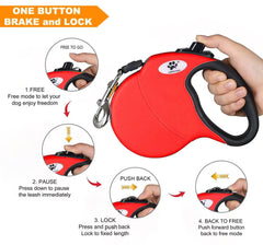 Ganchos de acero inoxidable con giro 360 Crown Paws, seguridad y durabilidad