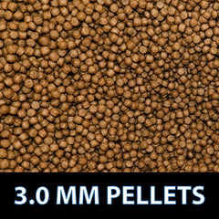 Pellets de 3 mm de CrystalClear Staple, nutrición equilibrada para días cálidos.