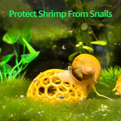 CTWPets Refugio Domo, ambiente de acuario, integración estética con plantas y sustrato.