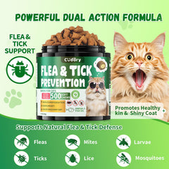 Cudory gato comiendo masticables como snack diario
