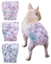 CuteBone pañales para perros sin agujero de cola, cómodo y protege contra fugas