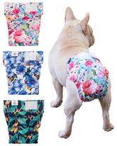 CuteBone pañales para perros sin cola: protección anti fugas durante entrenamiento