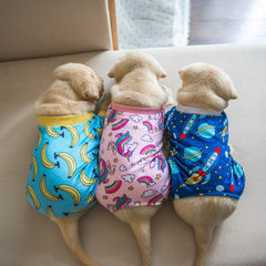 CuteBone pijama suave para perro, tejido transpirable evita sobrecalentamiento.