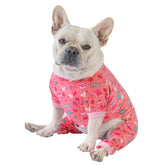 CuteBone pijama para perro San Valentín, ideal para sesiones de fotos