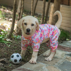 CuteBone pijama-perro todo-temporadas para uso diario y confort.