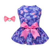 CuteBone vestido de malla para perro pequeño, cómodo y transpirable para cualquier estación.