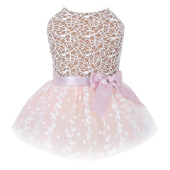 Vestido CuteBone para perrito pequeño, ideal para fiestas y celebraciones