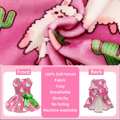 Variedades de colores de CuteBone para perros pequeños, look elegante y divertido.