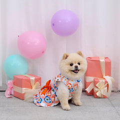 CuteBone vestido terciopelo para perro pequeño, duradero para juego diario.