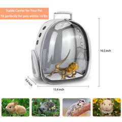 CUTENNIOU mochila grande para lagarto, tamaño cómodo para viajar sin estrés