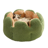 CWV Cama Gato Cactus 23pulgadas, descanso cómodo para tu felino.
