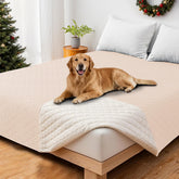 CYCMACO funda impermeable para perro en sofá evita manchas y salpicaduras