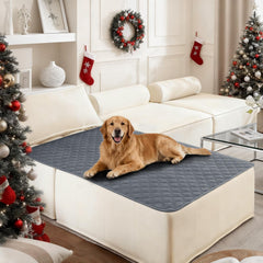 CYCMACO funda impermeable para perro sobre sofá protege muebles de manchas
