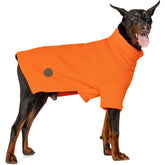 cyeollo suéter para perros grandes con cuello alto, ideal para paseos fríos.