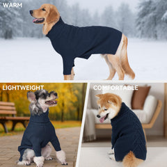Vista frontal de la sudadera cyeollo para perro pequeño, diseño moderno.