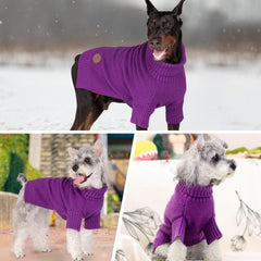 Etiqueta de cuero y acabado elegante en el suéter cyeollo para perros.