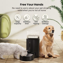 CZPET cuenco de acero inoxidable resistente y seguro para mascotas.