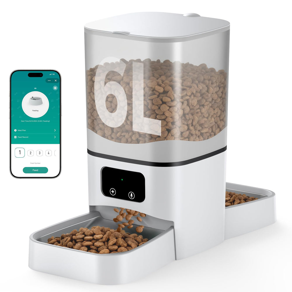 DAAMENT comedero automático para dos gatos con tazones de acero inoxidable, evita peleas.