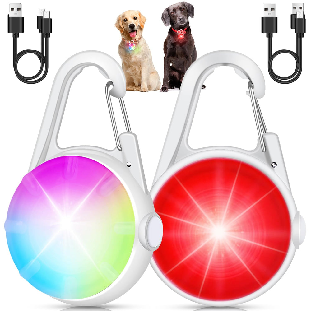 DAAMENT: luz de collar para perro brillante y recargable para visibilidad nocturna.
