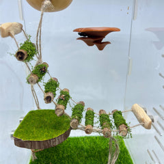 Daerky puente cuerda para arañas, punto de salto seguro y estimulante