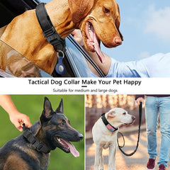 Hebilla metálica duradera del collar DAGANXI para colocación rápida y confiable.